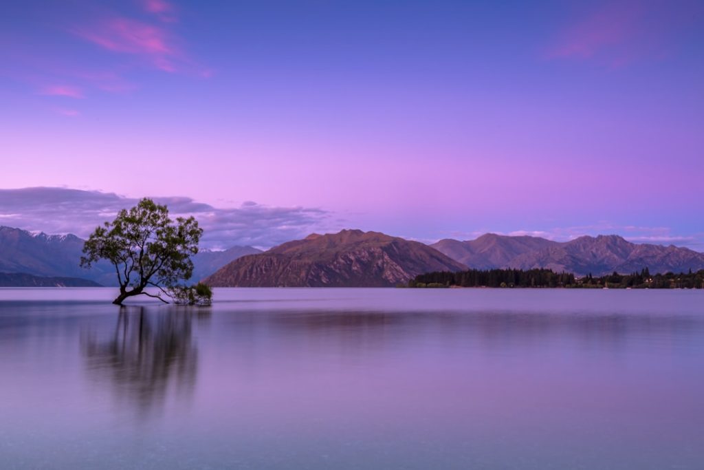 tree-on-body-of-water-near-mountains-konwfwuaauk